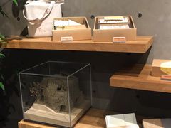 -微热山丘(台北民生公园门市店)