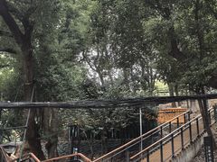 -马王堆汉墓遗址