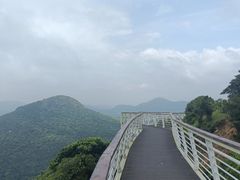 -大姆山草场