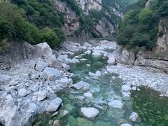 -黑河国家森林公园