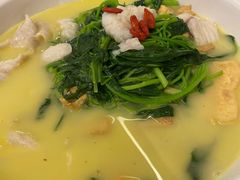 -刘胖子家常菜·蹄花焖藕(中南店)