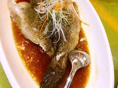 -半岛公馆(淞兴西路店)