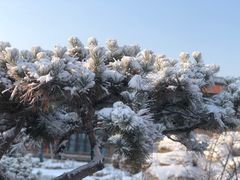 -白桦林温泉谷