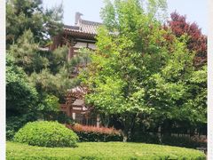 -西安乐游原