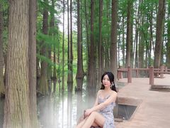 -东湖落雁景区