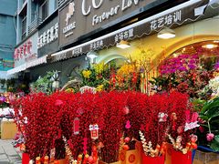 -溪岸路花鸟市场