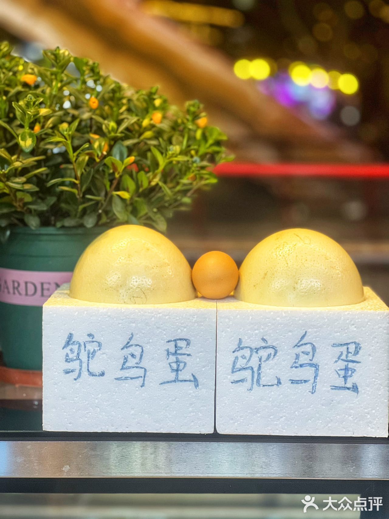 减肥也能安心吃的蒸汽海鲜！巨爽