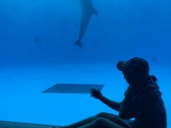 -西海国立公园九十九岛水族馆