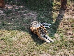 -西霞口神雕山野生动物世界