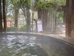 -张家港金凤凰度假村温泉