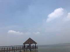 -瑶湖郊野森林公园