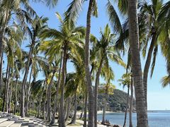 -日落吧·海景咖啡厅·餐酒吧·鸡尾酒·下午茶·乐队表演·浪漫夕阳·三亚文华东方酒店