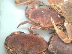 -南沙十九涌渔人码头-南门