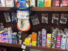 -宠爱国际动物医院· 猫科· 外科·中兽医(长白店)