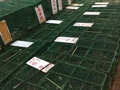 4090-荔城生鲜盛宴(番禺旗舰店)