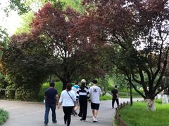 -丰台花园
