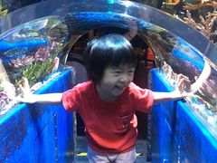 -暹罗海洋世界