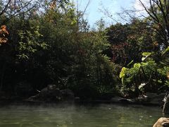 -昆明柏联SPA温泉