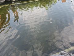 -惠州西湖风景名胜区-丰渚园