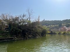 -苏州上方山国家森林公园