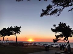 -一杯海(国际海水浴场店)