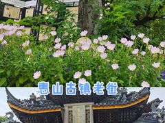 -惠山古镇·寄畅园