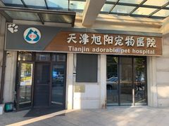 -美联众合宠物医院·爱萌分院·内外科·猫科中心