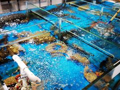 -澜小宴·锦绣江南(金沙滩店)