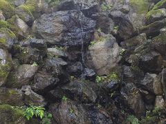 -常寂光寺