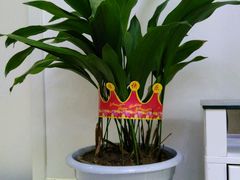 -王府茶楼茶宴·创意菜(大观园总店)