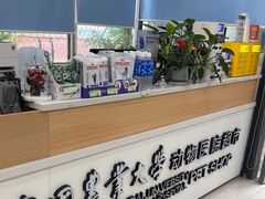 -中国农业大学动物医院