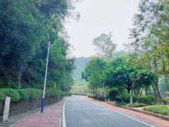 -火炉山森林公园