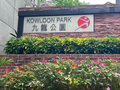 -九龙公园