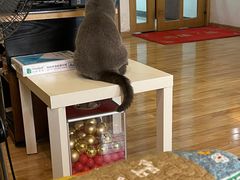 -壹人壹像工作室(购物公园店)