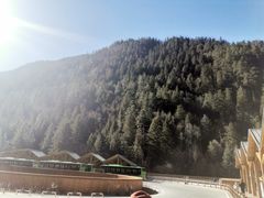 -九寨沟-树正沟