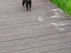 -艾米稻香小镇