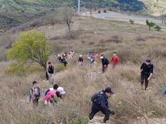 -阳台山自然风景区