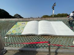 -观潮胜地公园