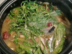 -蘑统田下·野生菌火锅