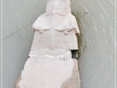 -七桥瓮公园