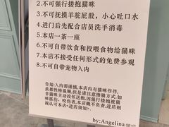 -安格丽娜·狗咖·猫咖羊驼咖(春熙路百盛商场店)