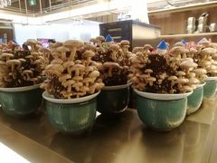 -捞王锅物料理(上海世茂广场店)