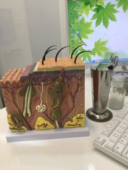 -痘博士天津·全国连锁祛痘机构