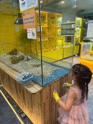 -神奇动物撸宠馆·羊驼·小浣熊·异宠(豫园店)