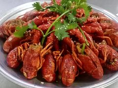-金龙寨(龙城路店)