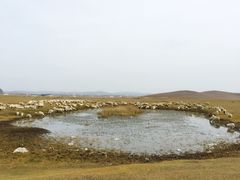 -塞罕坝国家级自然保护区