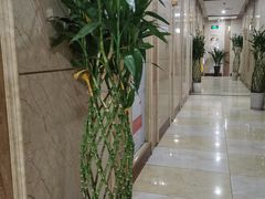 -家富富侨(西城店)