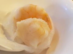 添运来虾饺皇-添运来(茶园奥园广场店)
