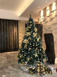-丽妍雅集 Rubis SPA