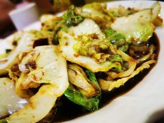 酱爆洋白菜-昱德来·天津菜(河西店)